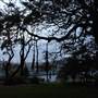 Mrs. Macquarie's Point - Royal Botanic Garden Sydney