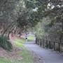 Mrs. Macquarie's Point - Royal Botanic Garden Sydney