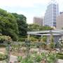 Rose Garden & Pavilion - Royal Botanic Garden Sydney