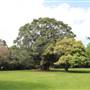Rose Garden & Pavilion - Royal Botanic Garden Sydney