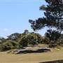 Centennial Park - Brazilian Fields