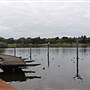 Centennial Park - Duck Pond