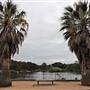 Centennial Park - Duck Pond