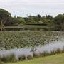 Centennial Park - Lachlan Reserve