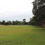 Centennial Park - Lachlan Reserve