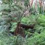 Centennial Park - Lachlan Swamp