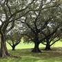 Centennial Park - Mount Steel