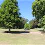 Centennial Park - Musgrave Pond