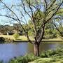 Centennial Park - Musgrave Pond