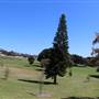 Centennial Park - Queens Park