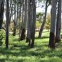 Centennial Park - Sandstone Ridge