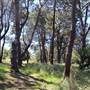 Centennial Park - Sandstone Ridge