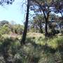 Centennial Park - Sandstone Ridge