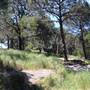 Centennial Park - Sandstone Ridge