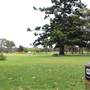 Centennial Park - Frog Hollow