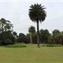Centennial Park - Frog Hollow