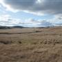 Goulburn Area