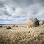 Monaro Plains