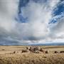 Monaro Plains