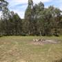 Paddy's River Dam
