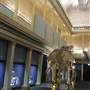 Australian Museum
