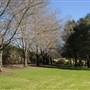 Fagan Park