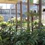 Paddington Reservoir Gardens
