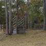 Charity Creek Green Acres