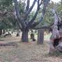 Newtown Cemetery