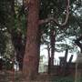 Newtown Cemetery