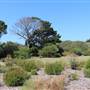 North Head Sanctuary - Old School Of Artillery