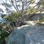 Middle Head Fortifications