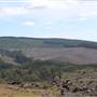 Jenolan State Forest - Logged Area
