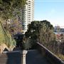Agar Steps - Millers Point