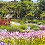 The Australian Botanic Garden Mount Annan