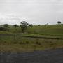 Carcoar Tallwood Mill Rd