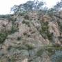 Goulburn Escarpment