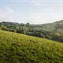 Southern Highlands