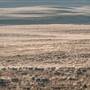 Monaro Plains