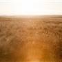 Monaro Plains