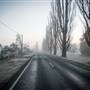 Monaro - Winter Frost