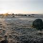 Monaro - Winter Frost