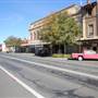 Temora