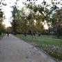 Wagga Wagga Town Centre