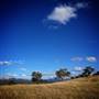 Snow Goose Farm - Glen Alice