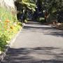The Palm House - Royal Botanic Garden Sydney
