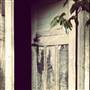 Private House - Batlow