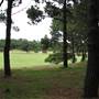 Centennial Park