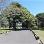Centennial Park - Loch Ave South