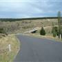 Monaro Plains